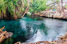 Kikuletwa Hot spring