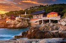 Full-Day Busan Highlights Private Guided Tour