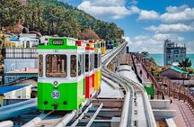 Full-Day Busan Highlights Private Guided Tour