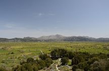  Premium off road tour to Lasithi Plateau & Olive Oil Tasting