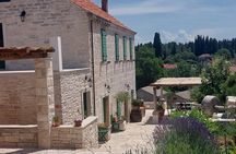 Korčula for Wine Lovers - Pošip and Grk Wines Private Tour