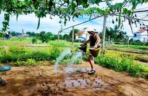 Hoi An countryside cycling tour