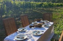Private Wine Tasting Tour around Ile Rousse and Calvi
