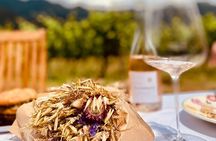 Private Wine Tasting Tour around Ile Rousse and Calvi