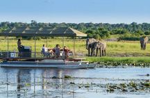 Full Day Private Tour in Chobe 