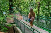 Full Combo! Hanging Bridges, Arenal Volcano, La Fortuna Waterfall