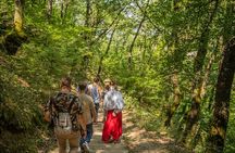 Meteora Half-Day Small Group Monasteries Tour with Hotel Pickup