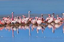 Private Tour Uyuni and LAGUNAS