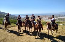Horseback Mountain Trail Ride