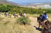 Horseback Mountain Trail Ride