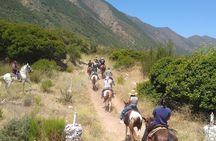 Horseback Mountain Trail Ride