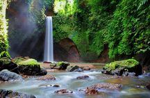 Private Tour To Tibumana Waterfall, rice terraces & Jungle Swing