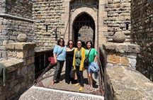 Affordable and Flexible Napa Wine Tour 