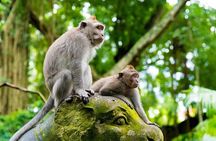 Private Inclusive Tours: 2 Days highlight of Bali