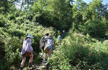Muong Hoa Valley View & Village Trek in Sapa 1 Day