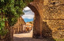 Day Trip to Kakheti Wine Region Including 9 Wine Tastings