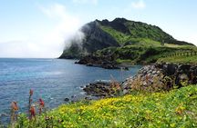 Full-Day Private Tour in Jeju Scenic East Coast