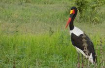 The Amaizing Private Day Trip to the lovely Arusha National Park 