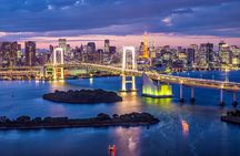 Tokyo City Night View Tour with Native Japanese Driver