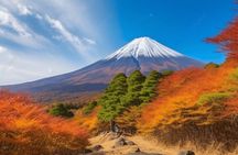 Mt Fuji Private Tour with Native Japanese Driver