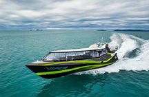 Viper: Great Barrier Reef Snorkel Including Whitehaven Hill Inlet