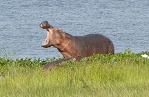10-Day Big-7 Private Tour Experience in Uganda Safari