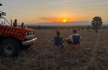 10-Day Big-7 Private Tour Experience in Uganda Safari