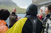 Private Sightseeing Tour with Local Skipper to Vágar Area