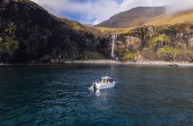 Private Sightseeing Tour with Local Skipper to Vágar Area