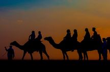 Sunset Camel Trekking Safari with Falcon Show & VIP BBQ Dinner