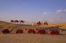 Overnight Camel Caravan with BBQ Dinner and Arabic Breakfast