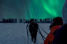 Horse Sleigh Ride Under The Night Sky in Apukka Resort, Rovaniemi