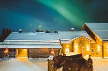 Horse Sleigh Ride Under The Night Sky in Apukka Resort, Rovaniemi
