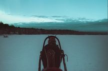 Horse Sleigh Ride Under The Night Sky in Apukka Resort, Rovaniemi