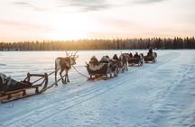 Apukka Reindeer Journey