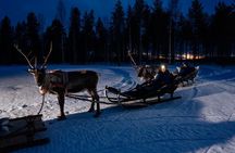 Reindeer Sleigh Ride Across the Night in Apukka Resort Rovaniemi