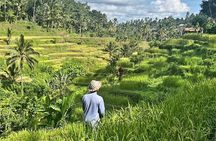 Ubud Bali Driver - Private Driver in Ubud