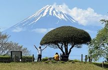 Hike Japan Heritage Hakone Hachiri with certified mountain guide 