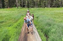 Sequoia National Park Small Group Tour from Three Rivers