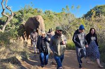 Walk with Elephants Experience for seniors or families with baby