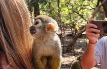 Walk with Elephants Experience plus Monkey Forest Walk