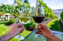 Private Vineyard Tour with Dinner Under the Stars in Karnas