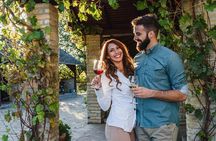 Private Vineyard Tour with Dinner Under the Stars in Karnas