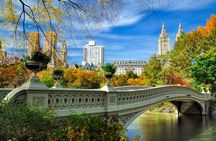 Half Day New York City Private Tour