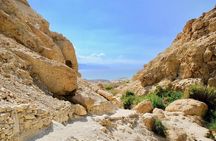 Tel Aviv Gateway Masada, Ein Gedi Oasis and Dead Sea Private Tour