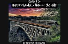 Walking Safari to the Falls, Bridge and beyond with Savannah
