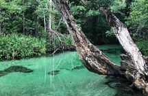 Full-Day Tour in Samaná Serenity