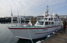 Reykjavik's Finest Catch: Guided Sea Angling Tour for All Levels