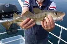 Reykjavik's Finest Catch: Guided Sea Angling Tour for All Levels