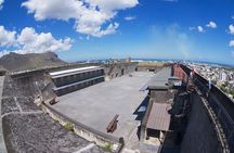 Food Tasting & Market Shopping: Private Guided Tour in PORT LOUIS